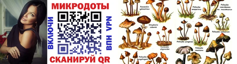 маркетплейс наркотические препараты  гидра маркетплейс  Воркута  Галлюциногенные грибы GOLDEN TEACHER 
